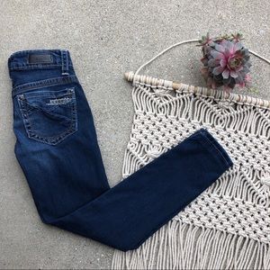 Daytrip Skinny Jeans Size 24